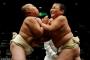 日本のわんぱく相撲に海外で賛否両論（海外の反応）