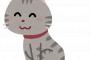 【野生】人をダメにするソファーを猫に与えた結果ｗｗｗｗｗｗｗｗｗ