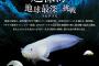 【閲覧注意】『深海』とか『水族館』に恐怖心あるやつｗｗｗｗｗｗｗｗ