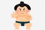 日馬富士が現役を引退