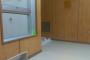  【闇深】( ヽ´ん`)｢ﾎﾟｯﾁｬﾏが今ぶち込まれてる保護室を紹介するゾ｣