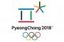 韓国人「平昌五輪は成功だったのか」