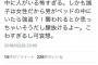 【悲報】尼神インター誠子さん、フェミニストに反撃してしまう 	