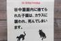 デート中、鳥に襲われミャーミャー泣いてる子猫発見→鳥を追い払おうとしたら私の腕を掴んだ彼「自然の摂理に感情で介入するのはどうだろうね？（真顔」