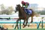 【解説付き】2010年以降の競走馬で打線組んだｗｗｗｗｗｗｗｗｗｗｗｗｗ