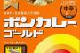 ボンカレーの大塚食品、カレーの本場インドに進出