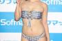 画像　B90W60H90、清楚な巨乳JKがソフマップ！