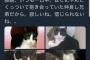 【悲報】中川翔子さん、見ず知らずの他人の猫を自分の猫と偽ってTwitterに載せてしまう