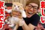 【凄いｗ】HIKAKINの猫が稼いだ金額ｗｗｗ