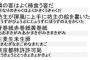 【朗報】「めっちゃ早口で言ってそう」に対する最強の返し、見つかる 	