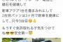 【画像】JDまんさん「事故りまくったけど、もう少しでダッサイ初心者マークとれる！うれしい！」