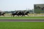 競馬が崩壊へ！！　人工知能「SIVA」、競馬で馬単を的中させまくり・・・