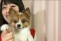 【NGT48】加藤美南、ストレス溜めて暴れまわる飼い犬を見て「犬もいろいろあるんだなあ」
