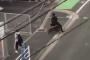 【福岡】イノシシがサラリーマンを襲撃　人が平行に... ※動画 	