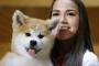 【動画】ザギトワの愛犬「マサル」CM出演！！！→ スターになるｗｗｗｗｗｗｗｗｗｗｗｗｗｗｗｗ