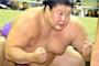【相撲】貴ノ岩、解雇も…暴行で今度は加害者　ある力士は「またか…」常習性証言 	