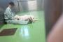 【画像】保健所でこれから殺処分される犬と従業員の画像が泣ける… 	