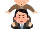【悲報】立憲民主党の蓮舫さん、少子化対策を放棄してしまう「人口減少、高齢化の何が悪い！｣←えええええｗｗｗｗｗｗ
