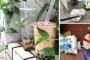 タピオカミルクティーのポイ捨て、飲み残しに虫。インスタに出てこない悪影響ｗｗｗ
