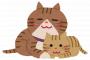 大先輩猫に仕掛けにいったくせにビビりすぎやろｗｗｗｗｗｗ（動画あり）