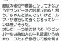 評論家「ワンピースは修行して強くなるシーンがないからクソ、若者に悪影響与えてる」 	