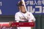 辰己涼介(22).222(243-54)2本19打点 OPS.627 82三振