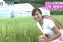斎藤真美アナの農業体験画像が過激すぎる！おはようコールABCの生中継ロケでBカップ胸チラ事故＆美尻見せ！