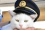 【悲報】猫のお巡りさん、任命式で脱走