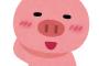【画像あり】昔の2ちゃんねらー「抱き枕カバーガムテープ貼った結果が工ロｗｗｗｗｗｗ