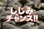 プロ野球中継みてるときによく流れるｃｍ　←思いついたのは？？？？？？？？