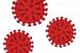 【研究】新型コロナウイルス、ついに ”とんでもない構造” が明らかになる・・・・・