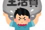 【納得】手取り２０万の生活費を内訳がこちらｗｗｗｗｗｗｗｗｗｗ
