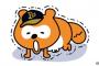 北海道民「子犬を保護しました。飼い主さん連絡お願いします」