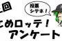 第三回 まとめロッテ！アンケート　結果発表！（前編）