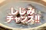 【悲報】上司に「しじみ習慣噛んでみ？」ってパワハラされたｗｗｗｗｗ