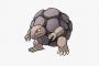 初代ゴローニャとかいう幻のポケモン