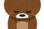 【速報】石川県のショッピングセンターにクマが立てこもり！！！！！！！！