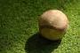 柿木蓮(大阪桐蔭黄金世代のエース、MAX151キロ、多彩な変化球、まとまった制球)←ドラ5だった理由