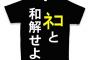 【速報】韓国兄さん「こちらからは和解のメッセージを送ってやったぞ。今度は日本が応える番だ」