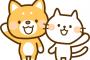 【画像】わいのイッヌ、かわいいｗｗｗｗｗｗ
