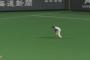 【GIF】 日ハム西川の守備wwwww