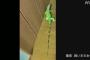 【画像】2メートルのイグアナが逃走ｗｗｗｗｗｗｗｗｗｗｗｗｗｗ