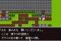 なんJ民「RPGで村人全員に話しかけてる」←これ嘘だよな？