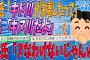 【2ch修羅場スレ】彼氏「キド川が決壊したの知ってる？」私「これキヌ川だよ」→彼氏「ヌなわけねーじゃんｗ」【ゆっくり解説】【面白い名作スレ】