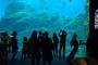 JKとカップル観に水族館行った結果ｗｗｗｗｗｗ