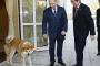 【愕然】日本がプーチン大統領にあげた秋田犬の現在・・・・・・・・