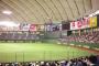 巨人ファン集合　(6月21日・ソフトバンク戦)