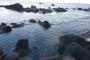 露天風呂に来たんだが水没してる…