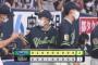 【オリックス対ヤクルト3回戦】ヤクルトが２－１でオリックスに勝利し球団新８カード連続勝ち越し！石川は通算１８０勝目&歴代単独トップの交流戦通算２７勝！今野がプロ初セーブ！