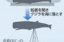【元淀川のアイドル】クジラの「淀ちゃん」、海に帰すため大阪を出発　体に30トンのコンクリ取り付け、きょう午後にも海底へ